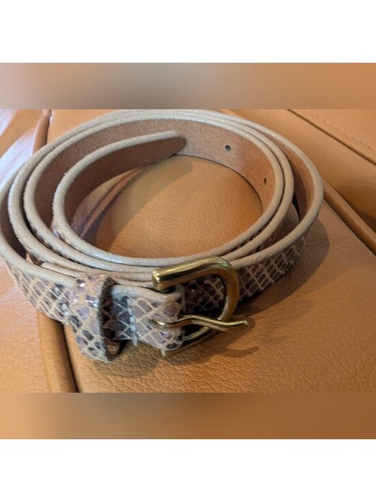 Wilfred Italian leather Snakeskin Belt With Gold Buckle Made In the USA Sz M main image 6